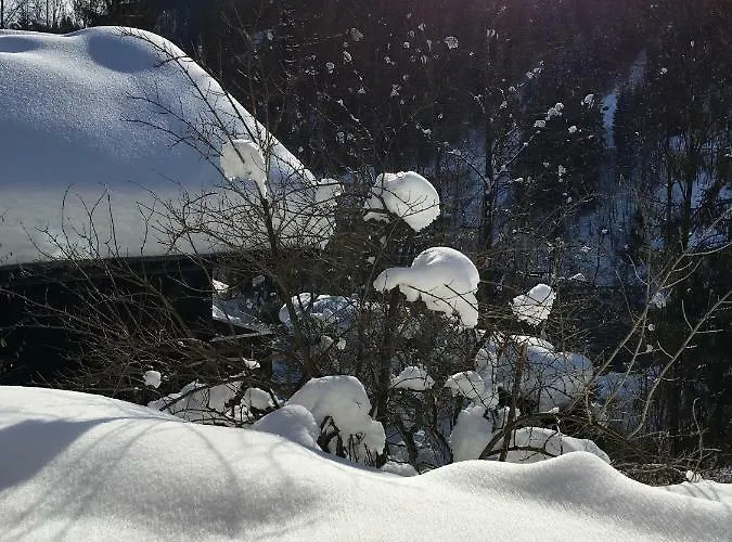 Apartman Gerhards Wagrain